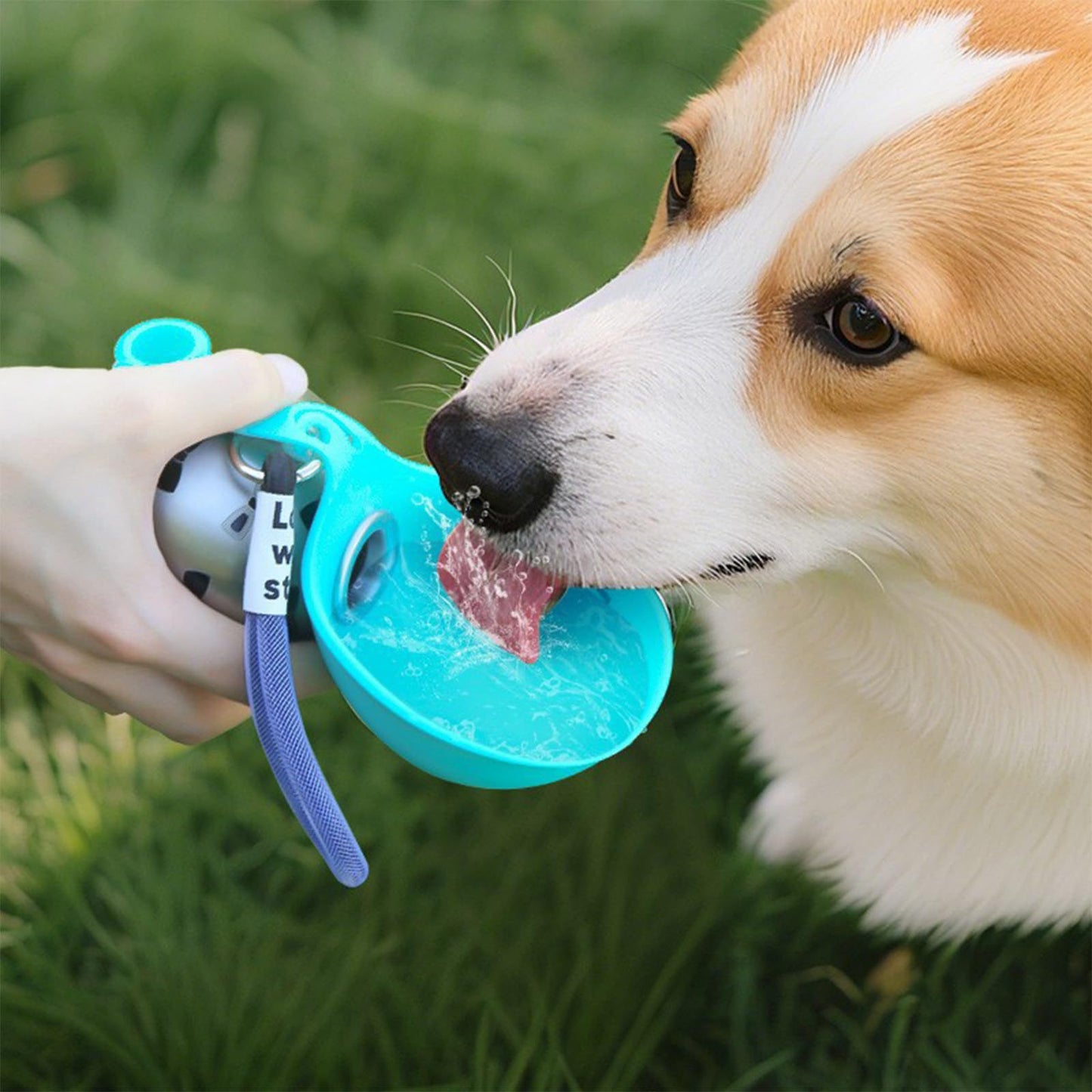 AquaPaw Pet Water Bottle
